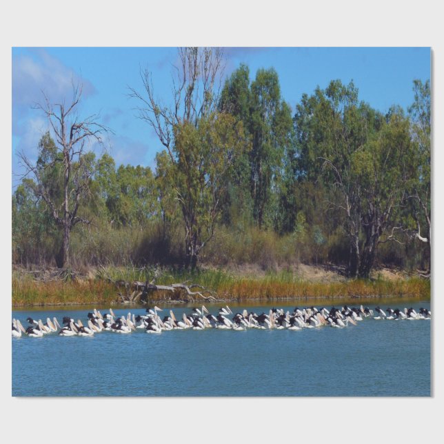 Papier Cadeau "Pêcheurs de River Murray : un rassemblement pélic (Plat)
