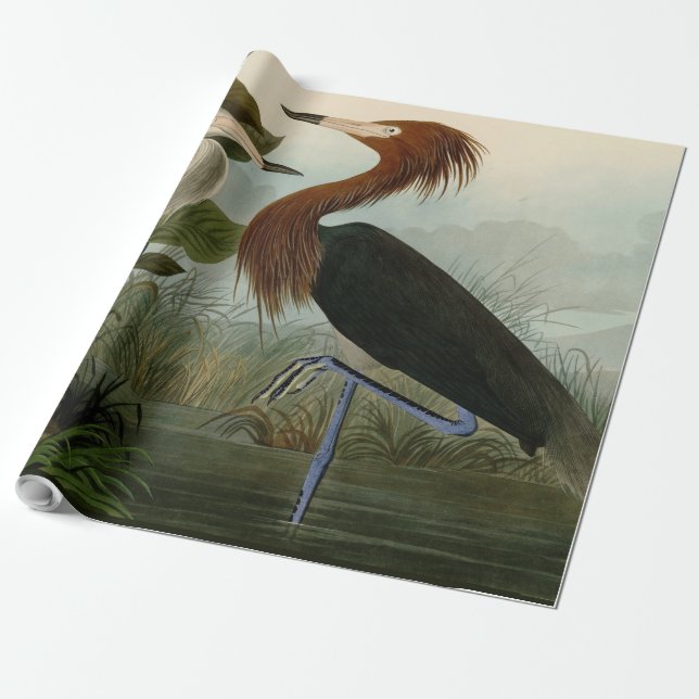 Papier Cadeau Peinture de la faune d'Audubon Heron violet (Déroulé)