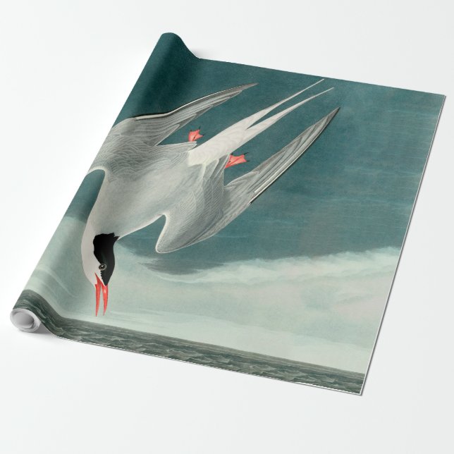 Papier Cadeau Peinture de la faune de la sterne de l'Arctique Au (Déroulé)