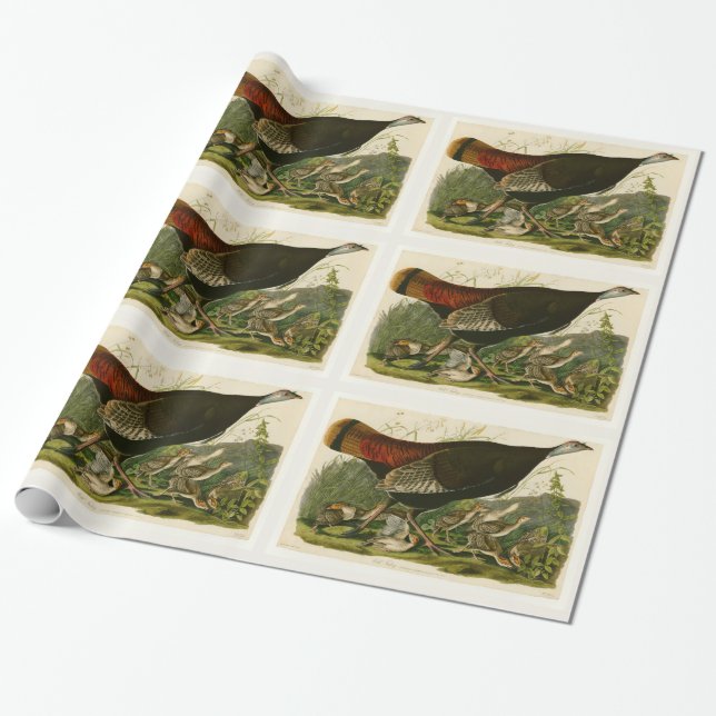 Papier Cadeau Peinture d'oiseaux sauvages de Turquie Audubon (Déroulé)