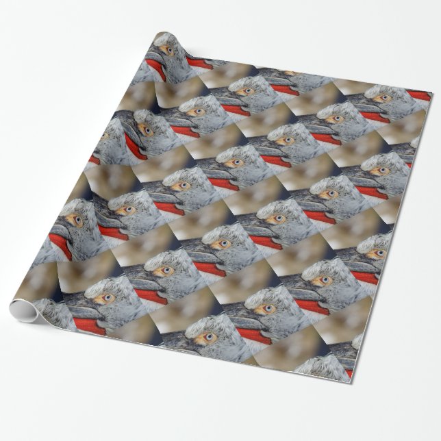 Papier Cadeau Pélican dalmate (Déroulé)