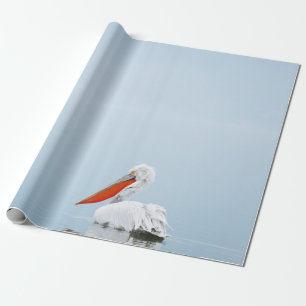 PAPIER CADEAU PELICAN SUR EAU BLEU
