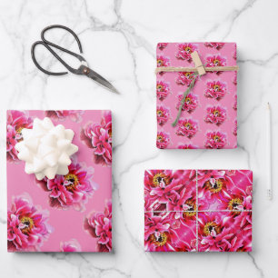 Papier cadeau Peonies roses.