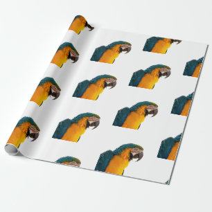 Papier Cadeau Perroquet
