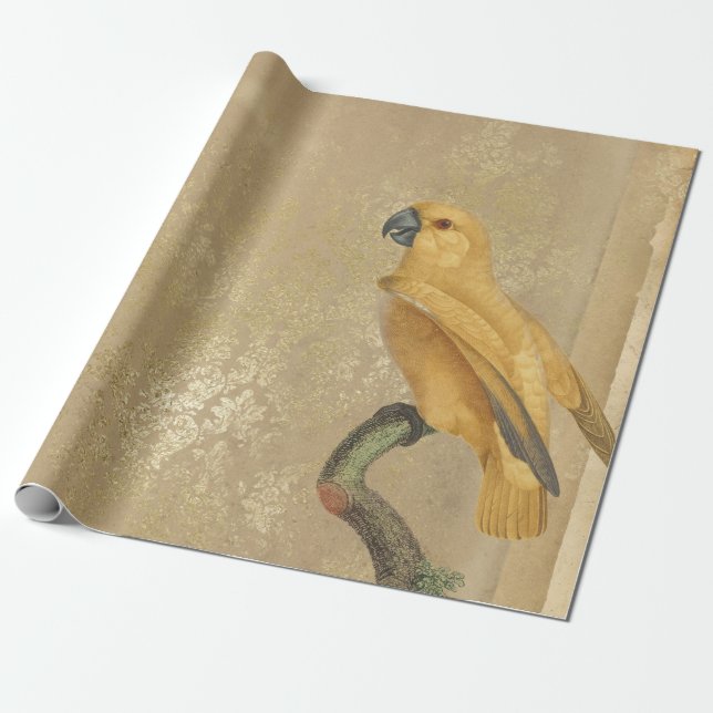 Papier Cadeau Perroquet jaune sur tan et or (Déroulé)