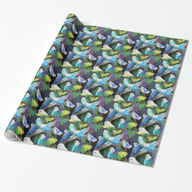 Papier Cadeau Perruches de perruche en papier d'emballage de (Déroulé)