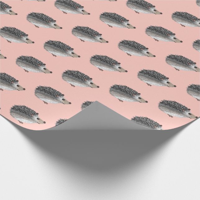 Papier Cadeau Petite enveloppe de cadeau de hérisson de Pokey (Coin)
