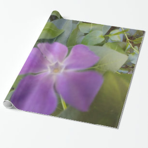 Papier Cadeau Petite fleur pourpre