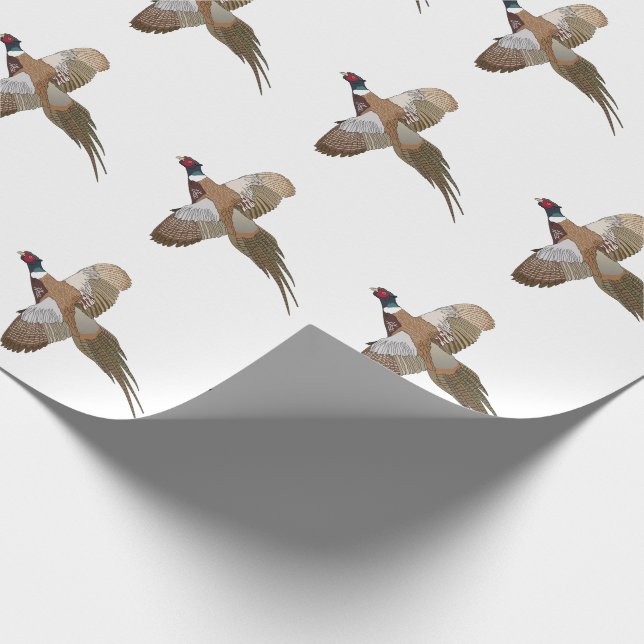 Papier Cadeau Pheasant (Coin)