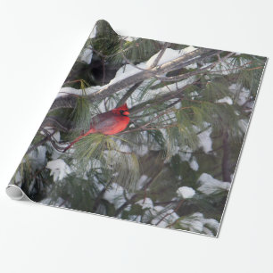 Papier Cadeau Photo Cardinal Pine des neiges