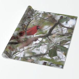 Papier Cadeau Photo cardinale gentille