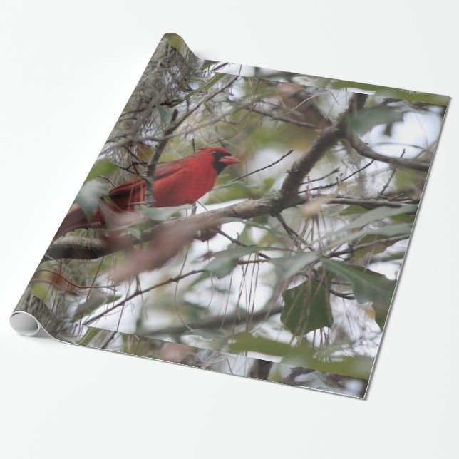 Papier Cadeau Photo cardinale gentille (Déroulé)
