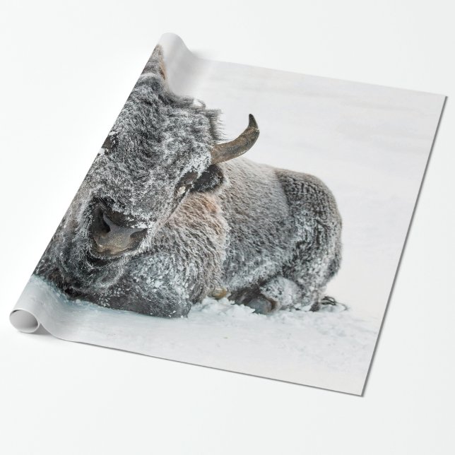 Papier Cadeau Photo de la neige de Buffalo (Déroulé)