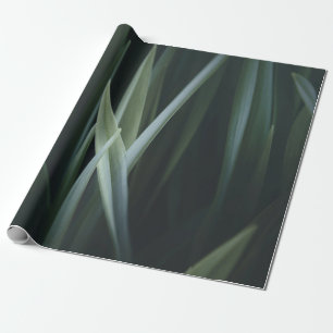 Papier Cadeau Photo de près de feuilles linéaires verts
