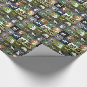 Papier Cadeau Photo Patchwork - Oiseaux