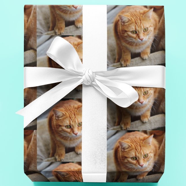 Papier Cadeau Photo Pet Cat Chien Photo Personnaliser Personnali (Créateur téléchargé)