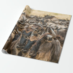 PAPIER CADEAU PHOTOGRAPHIE À PEU PRÈS CONCENTRÉE DES ANIMAUX BRO