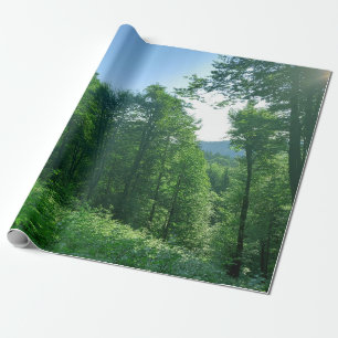 Papier Cadeau Photographie du paysage de la forêt verte