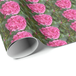 Papier Cadeau Photographie florale rose Nature