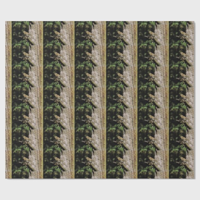 Papier Cadeau Phylloscopus collybita (Plat)
