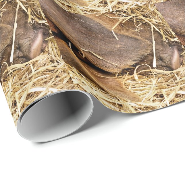 PAPIER CADEAU PIÈCES (Coin rond)