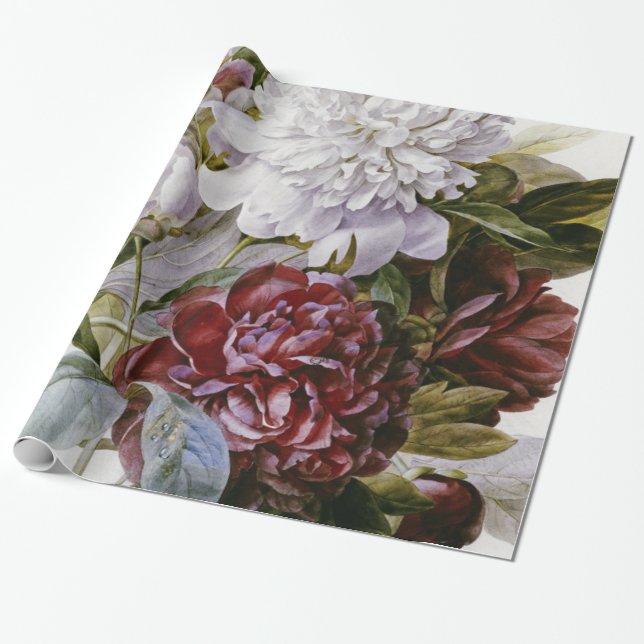 Papier Cadeau Pierre Joseph Redoute - Une pivoine de bouquet (Déroulé)