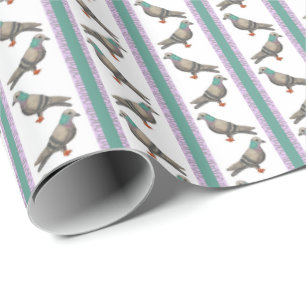 Papier Cadeau Pigeon Stripe