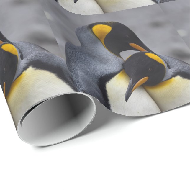 Papier Cadeau Pingouins Roi en papier d'enveloppement amoureux (Coin rond)