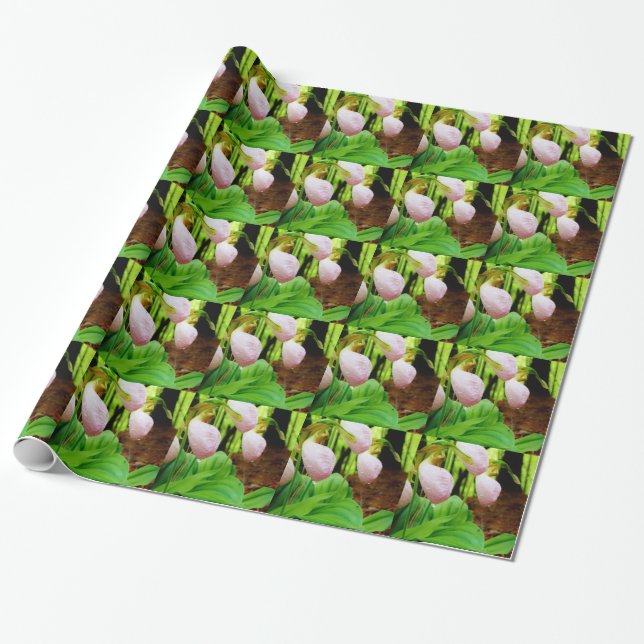 Papier Cadeau Pink Lady Slipper sauvage orchidée (Déroulé)