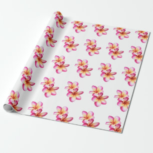 Papier Cadeau Pink Plumeria