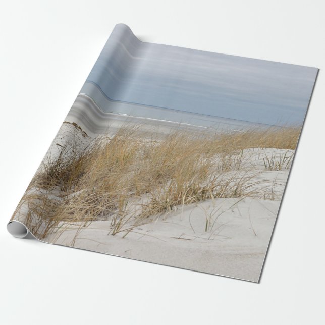Papier Cadeau Plage sablonneuse et dunes en hiver (Déroulé)