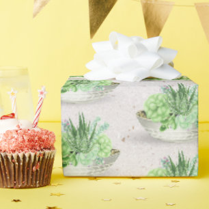 Papier Cadeau Plante succulent en pots sur Terrazzo