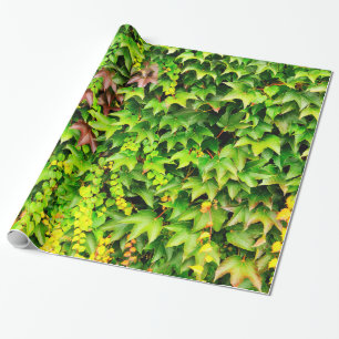 Papier Cadeau Plante vert de haie