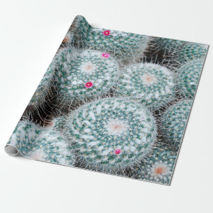 Papier Cadeau Plantes de cactus aux minuscules fleurs roses