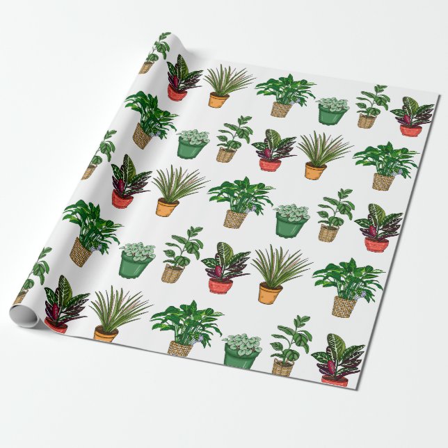 Papier Cadeau Plantes domestiques dessinées à la main Anniversai (Déroulé)