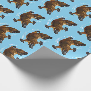 Papier Cadeau platypus à bec de canard
