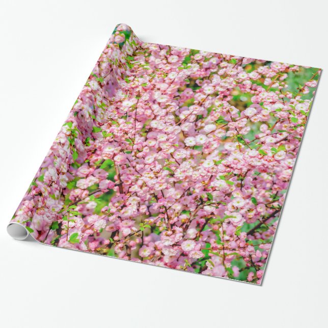 Papier Cadeau Plum à fleurs (Déroulé)