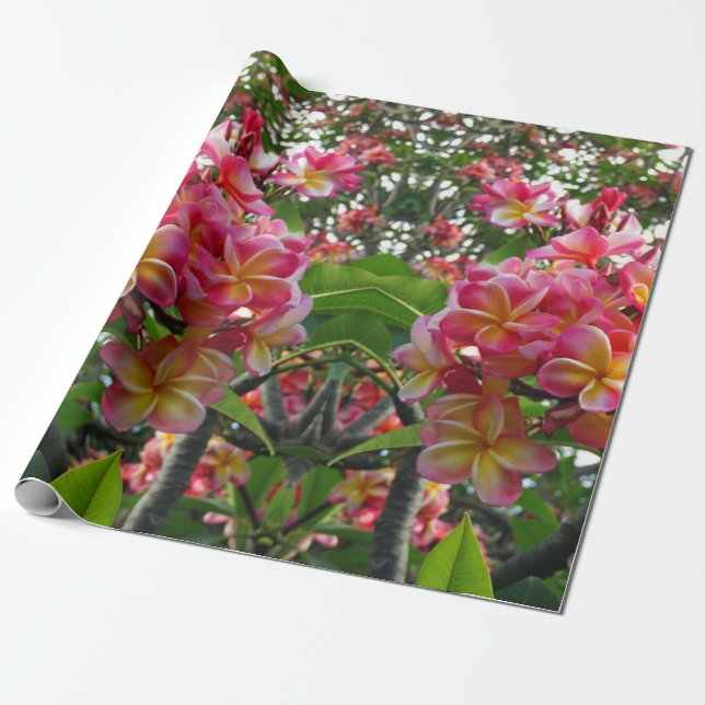 Papier Cadeau Plumeria hawaïenne (Déroulé)