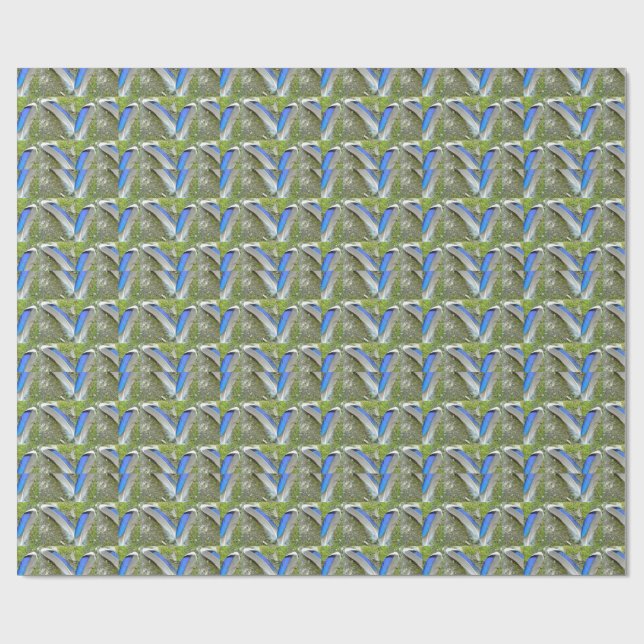 Papier Cadeau Plumes de canard bleu blanc, animal, oiseau (Plat)