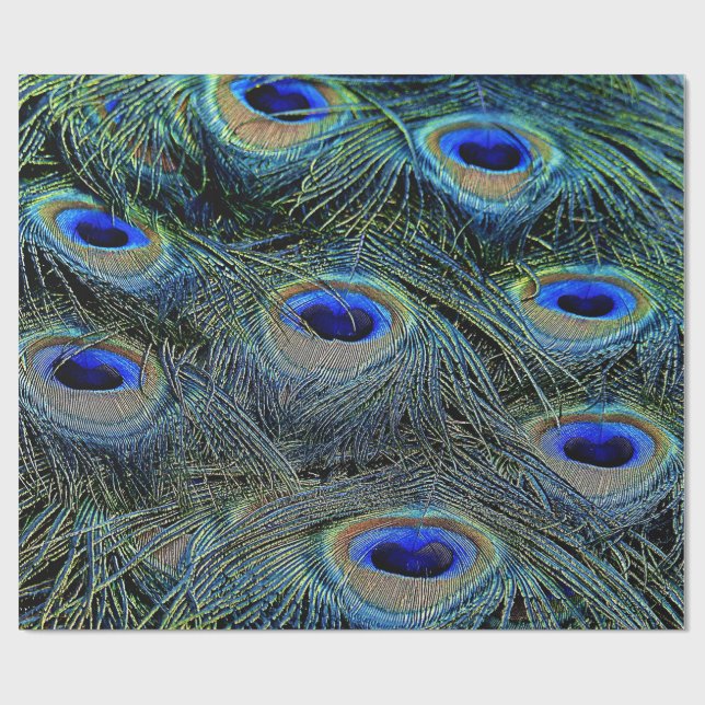 Papier Cadeau Plumes de paon colorées tendance (Plat)