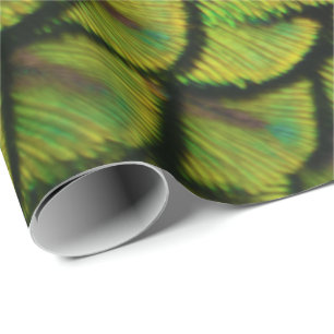 Papier Cadeau Plumes de queue de paon vert Iridescente