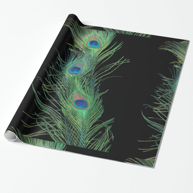 Papier Cadeau Plumes noires et vertes de paon (Déroulé)