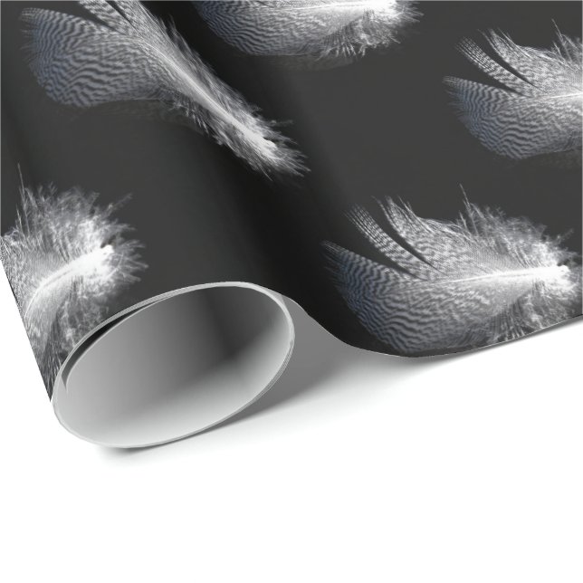 Papier Cadeau Plumes rayées noir et blanc flottant sur un étang (Coin rond)