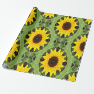 Papier Cadeau Pods de tournesols...