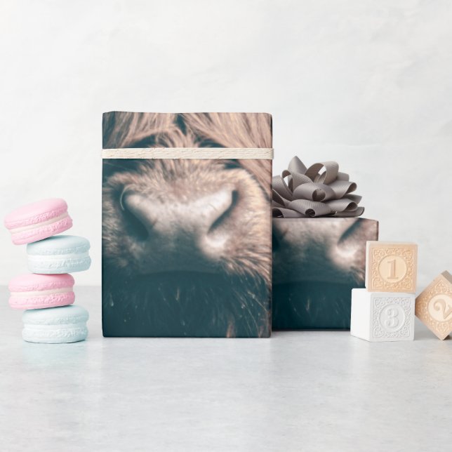 Papier Cadeau Portrait de vache Highland (Baby Shower)
