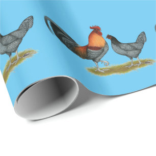 Papier Cadeau Poule bleue du Delaware