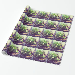 Papier Cadeau Poule et usine de poussins
