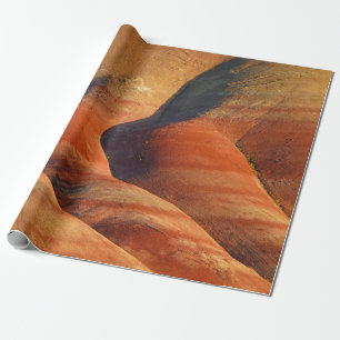 Papier Cadeau Préhistorique