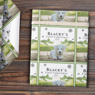 Papier Cadeau Premier Noël Pine Chien Chien Chien Pie Photo