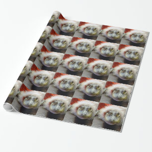 Papier Cadeau Produits de vacances d'alligator